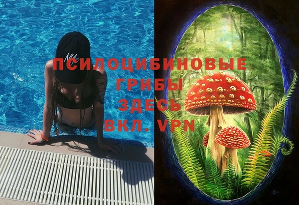 круглые Белокуриха