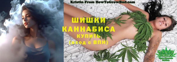 круглые Белокуриха