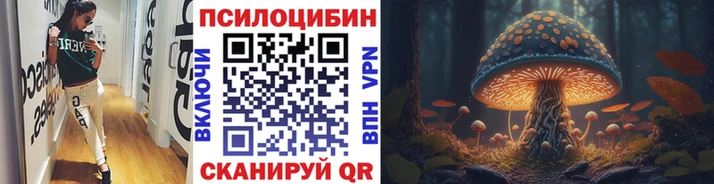 купить наркотики цена Володарск Псилоцибиновые грибы Magic Shrooms